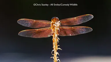 Ešte pár krásnych fotiek