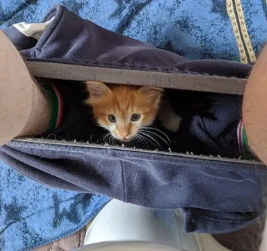 Felix má rád teplé miesta