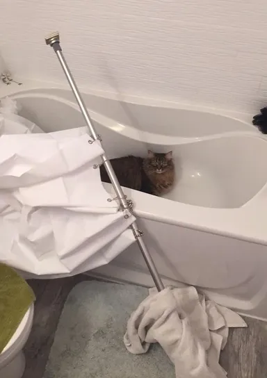 Sedí, akoby sa nechumelilo, na svojom tróne skazy.