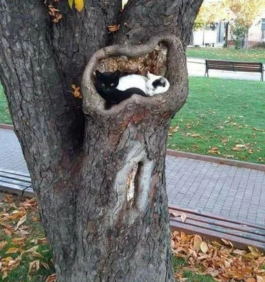 Táto dvojica našla útulné hniezdo so skvelým výhľadom