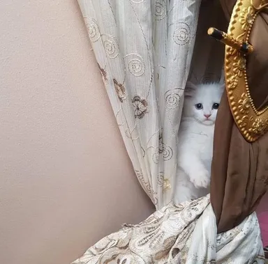 Rozbil tanier a bojí sa, že ho potrestajú.