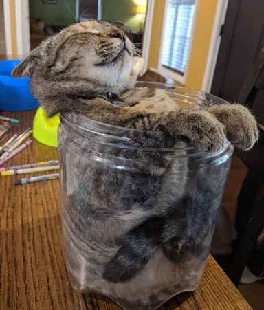 Zdá sa, že je čas presadiť ju do väčšieho kvetináča