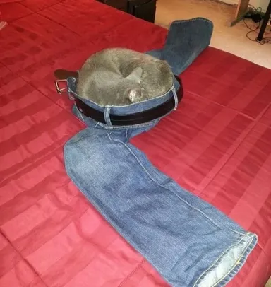 Potrebujem tvoje oblečenie, človek