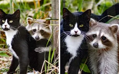 20+ fotografií o priateľstve zvierat, ktoré roztopia aj to najľadovejšie srdce