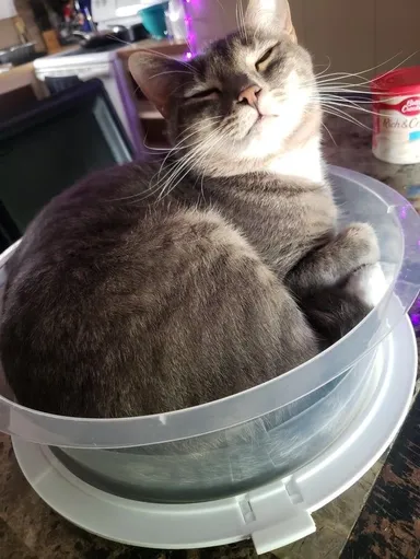 Veď som sa odvrátila doslova na sekundu.