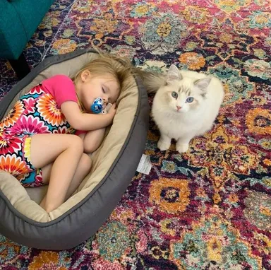 A ja som ostal bez svojho obľúbeného pelieška