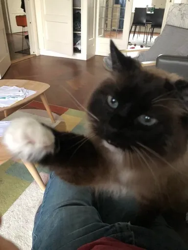 Zakaždým, keď jem zmrzlinu, Andy sa mení na nezbedníka.